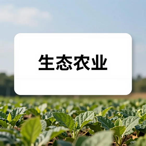 该品牌